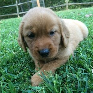 Meet your Posher, Mia